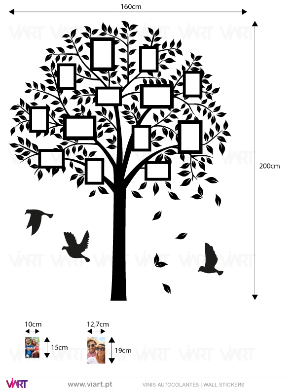 Viart - Vinis autocolantes decorativos - Árvore para fotografias com aves - medidas
